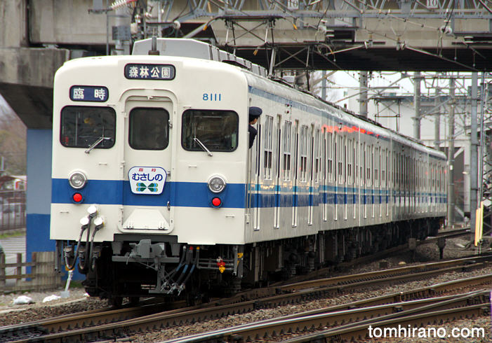 8111F