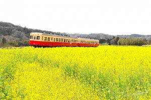 小湊鉄道 キハ200