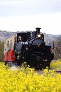 小湊鉄道 里山トロッコ