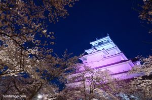 鶴ヶ城と桜